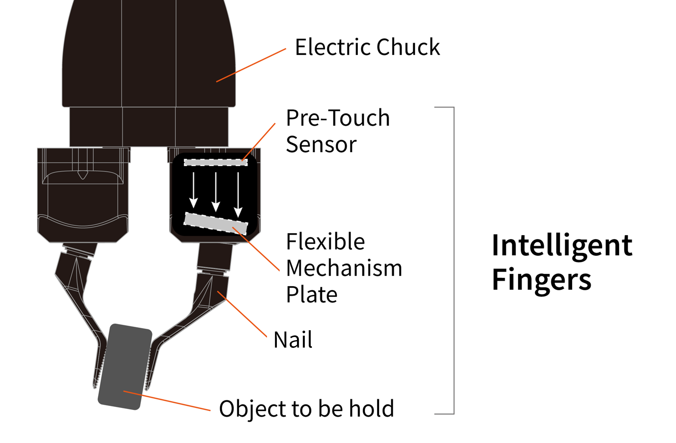Mechanism of Think Hand F